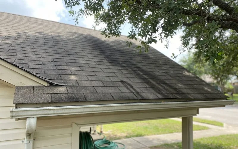 Close-up of black algae streaks on an asphalt shingle roof next to a soft washing spray pattern