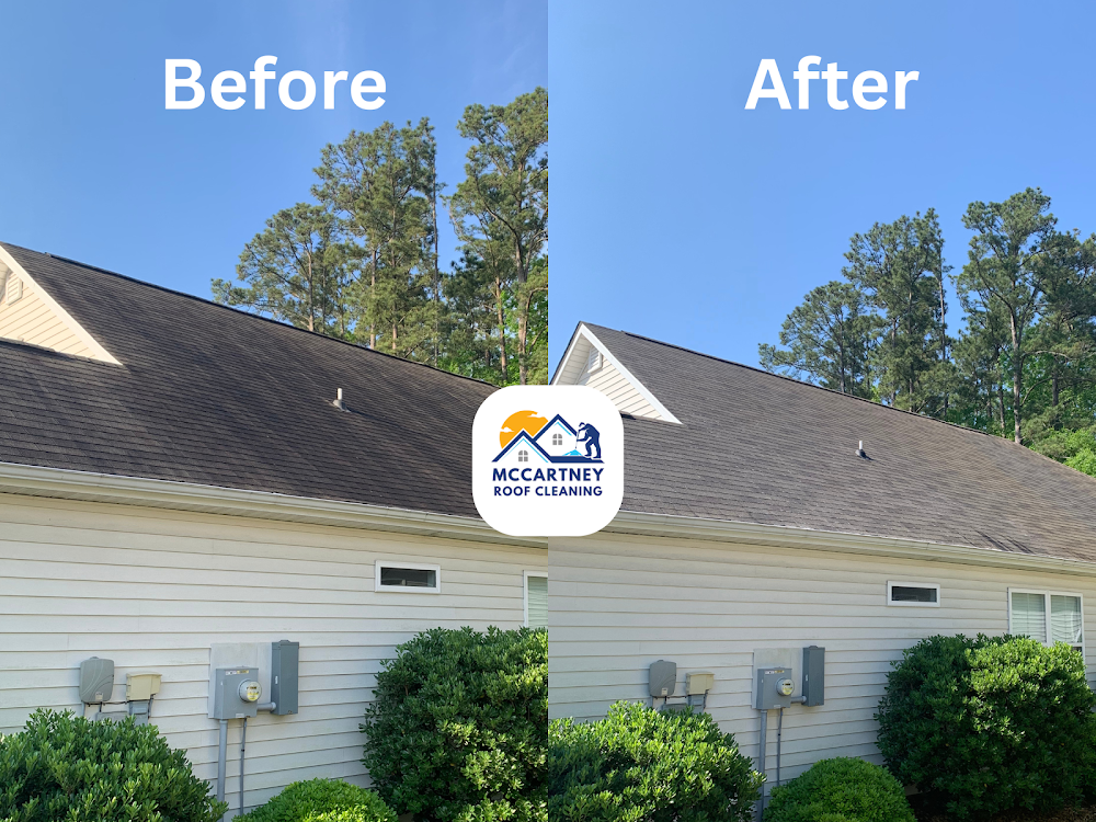 McCartney Roof Cleaning
